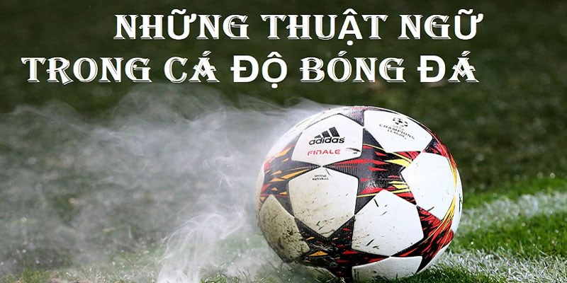 Thuật ngữ tài xỉu trong nhận định môn thể thao vua