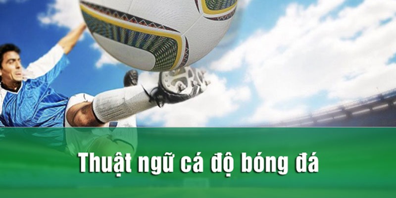 Thuật ngữ cá độ bóng đá